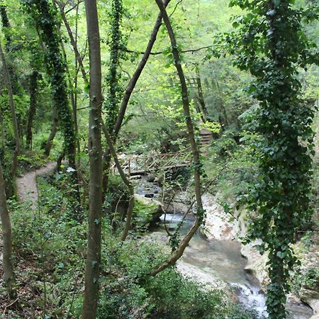 Hotel Arimannia Caramanico Terme Bagian luar foto